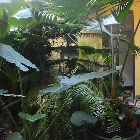 Casa Colonial Cejas-2