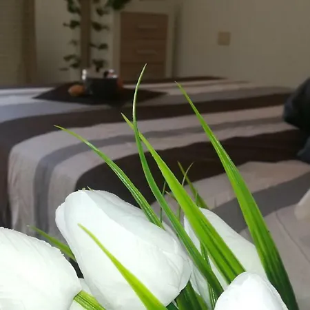 Beautiful Duplex With Jacuzzi-2