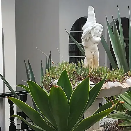 Apartamento Casita Blanca-2