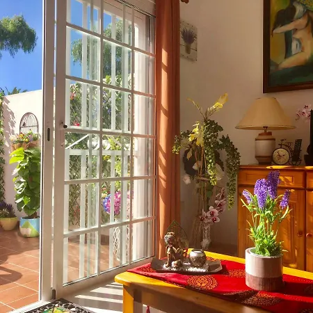 Apartamento Casco La Estrella, cerca de Garachico-3