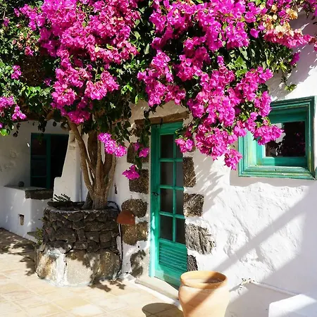 Casa Lisboa, Auf Der Finca Mimosa-3