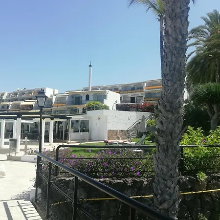 Patalavaca-3