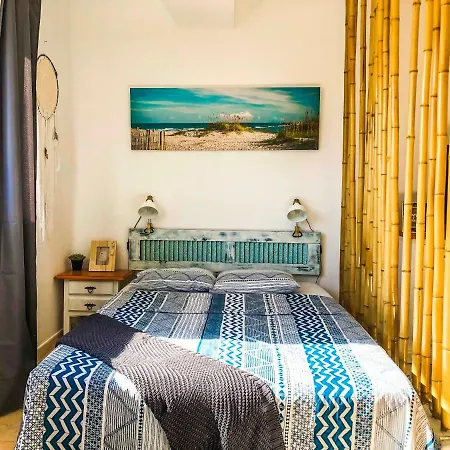 Aloe Studio-3