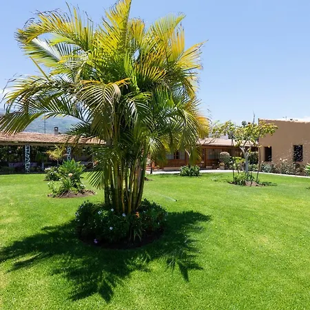 Casa Strelizia - Vivienda Vacacional-2