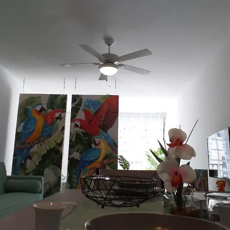 Tropical Loft-2