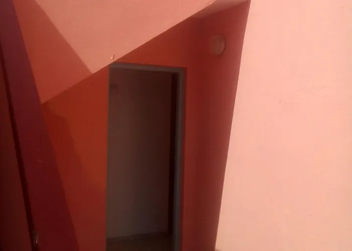 Hotel Las Gaviotas Punta Del Hidalgo admite animales