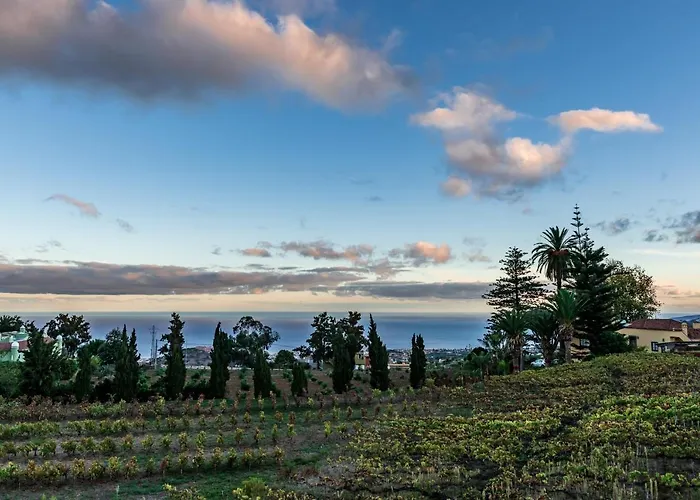 Casa Rural El Lagar Tenerife La Orotava