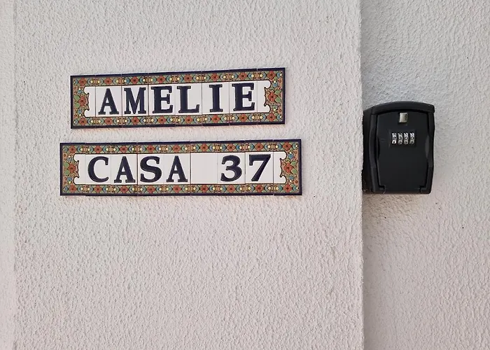Amelie Amadores Apartment Puerto Rico Puerto Rico  che accetta animali