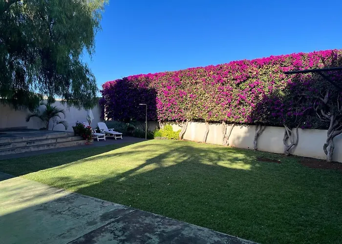 Pet friendly Dream Garden Apartment Santa Cruz de Tenerife