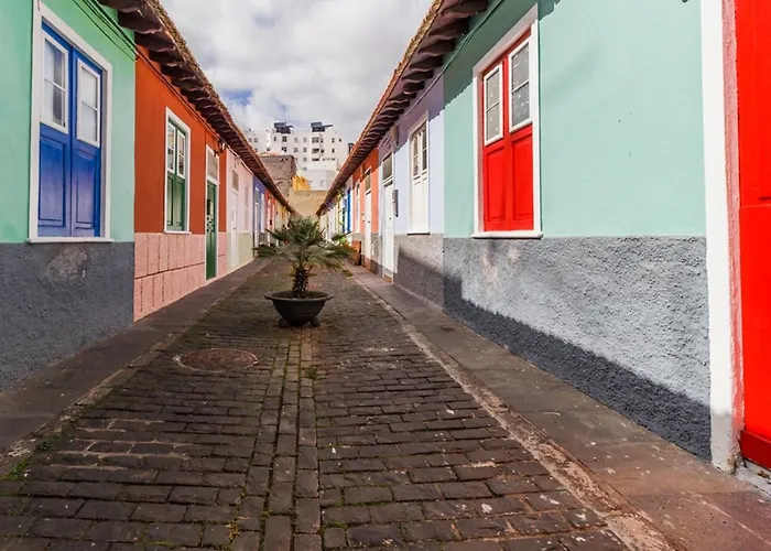 Moderno Apartamento Urbano En Barrio Historico 1ºi Santa Cruz de Tenerife che accetta animali