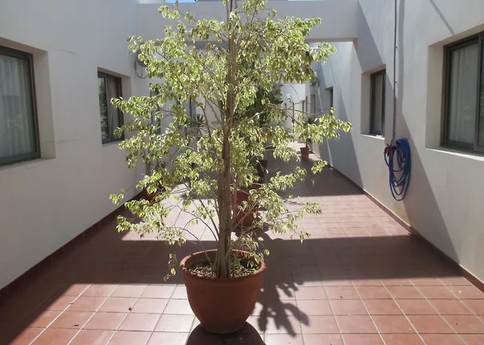 Hotel Avenida de Canarias Vecindario 