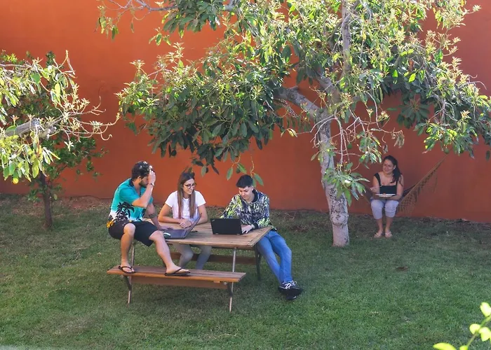 Cactus Coliving & Coworking Bed and Breakfast Arona 