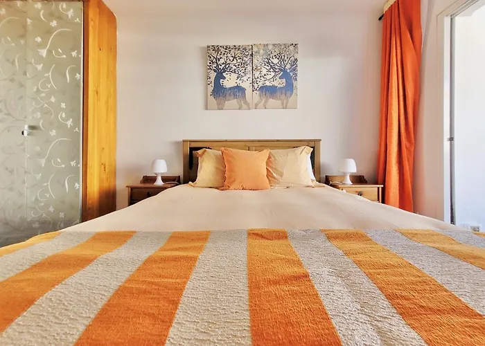 The Bird'S Nest Apartamento Puerto de la Cruz  aceita animais de estimação