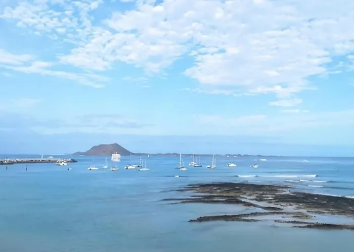 On The Beach Corralejo acceptant les animaux