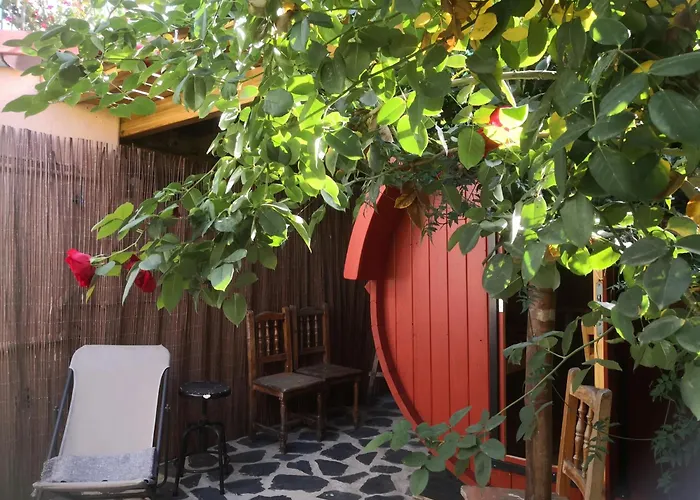 Hotel Gato Azul - Coliving La Orotava