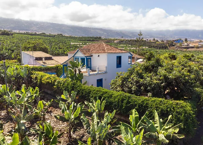 Apartamento La Hacienda Grande Puerto de la Cruz 