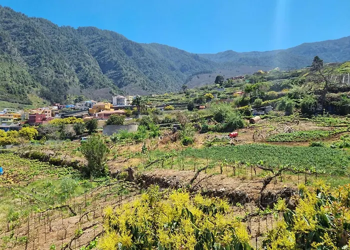 Vivienda Vacacional Ca Na Paula La Orotava admite animales