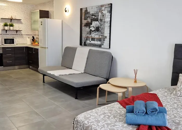 Sunny Large Terrace Apartment In Center Of Las Americas Playa de las Americas  privato