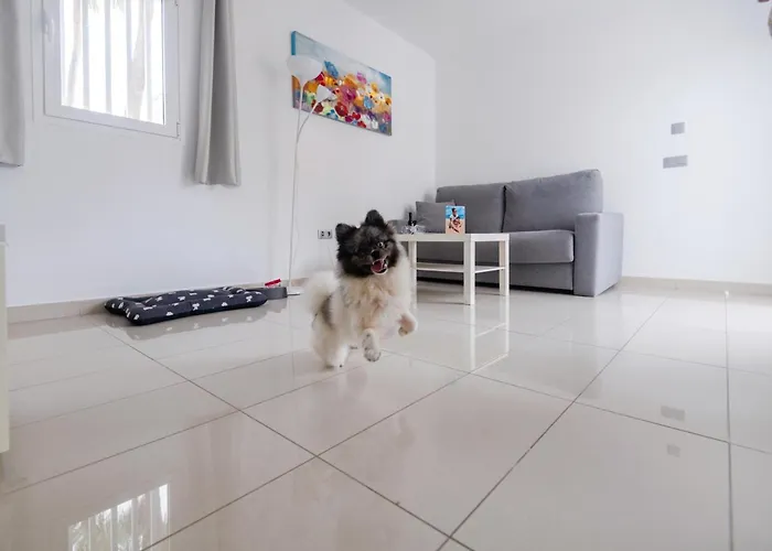 Boutique Bahia Calma Beach Costa Calma