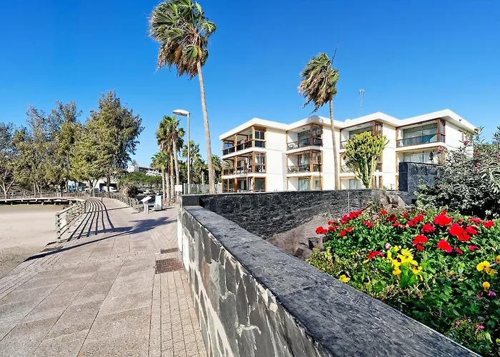 Boetiek Apartamentos Los Papagayos San Agustín