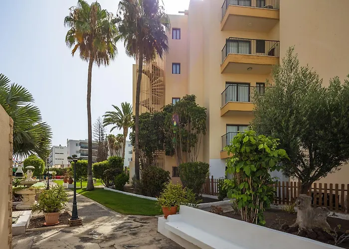 Los Ficus Playa del Inglés acceptant les animaux