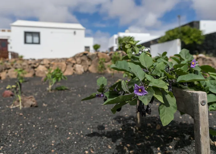 Villa El Jable Lanzarote Teguise 