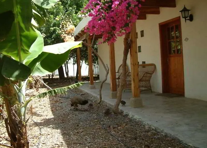 Cho Manuel Residence Maspalomas 