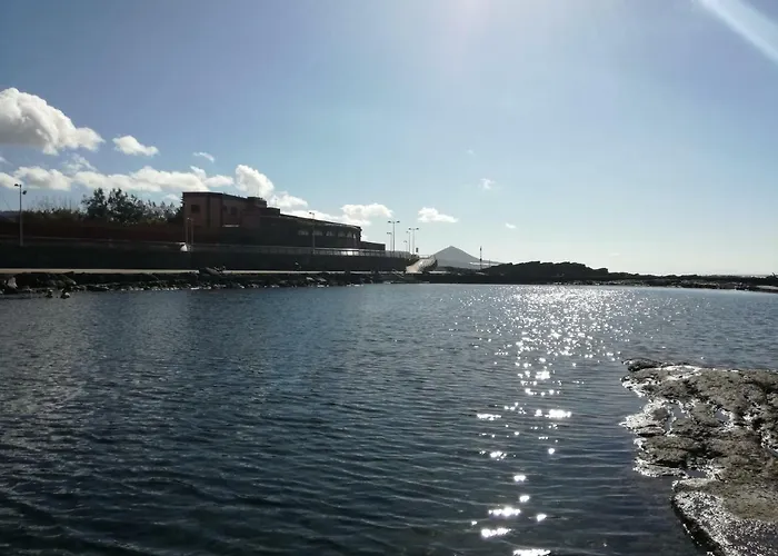 Apartamento Mirador Del Mar Las Palmas de Gran Canaria acceptant les animaux