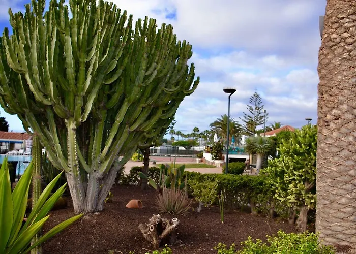 Bungalow en Playa del Ingles