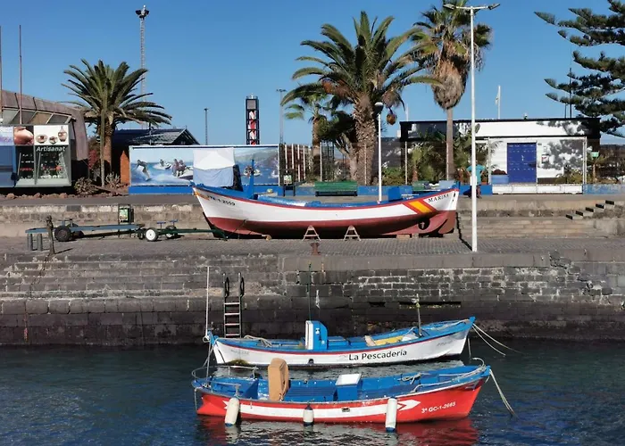 El Palacete Del Puerto Puerto de la Cruz  aceita animais de estimação