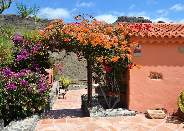 Finca Las Olivas - Unique Country House With Heated Pool Maspalomas  che accetta animali